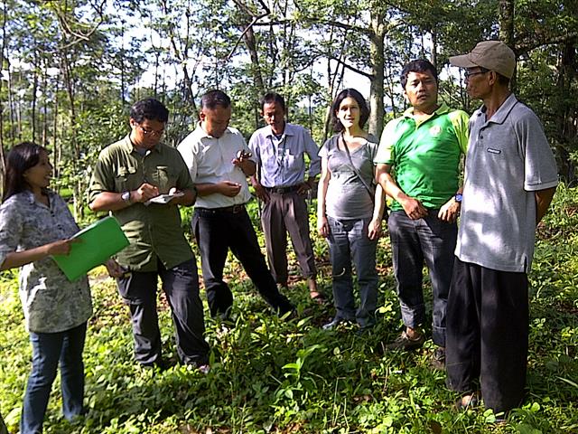 Mr. Tesis, Auditor of SCS (green shirt) verifying land belonged to Mr. Purnomo, member of Sumber Lestari farmer group of Gunung Wungkal Forest Management Unit (wearing cap).