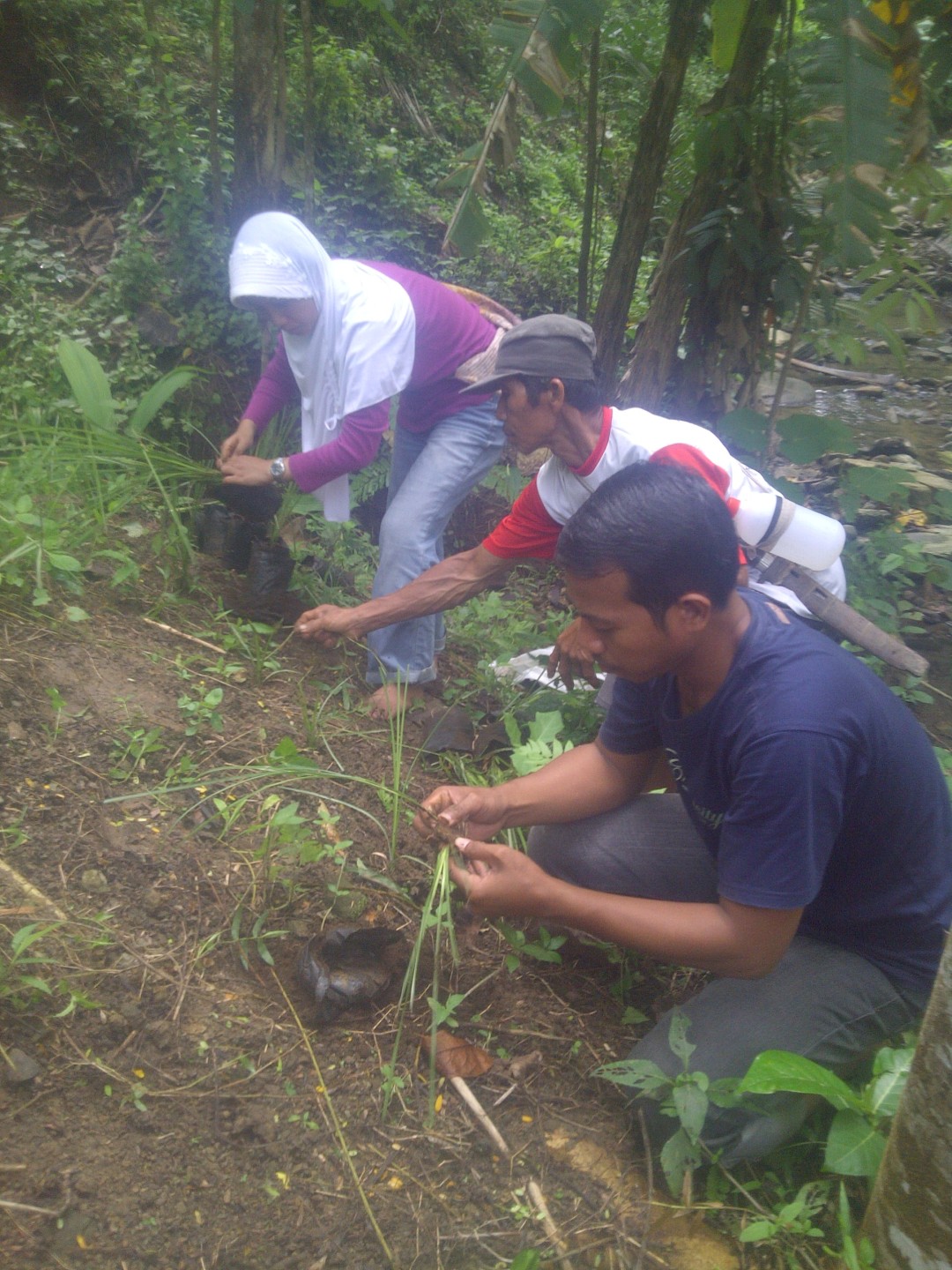 Novita, Trees4Trees staff with local villagers planting vetiver