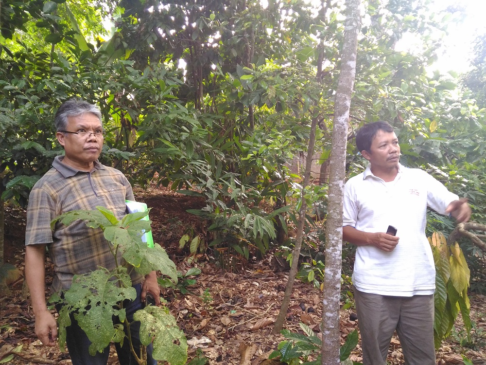 Field Visit with Farmers, ACIAR and T4T