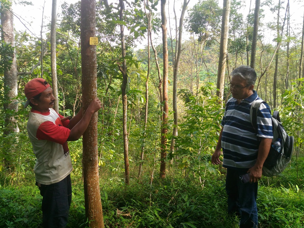 Field Visit with Farmers, ACIAR and T4T