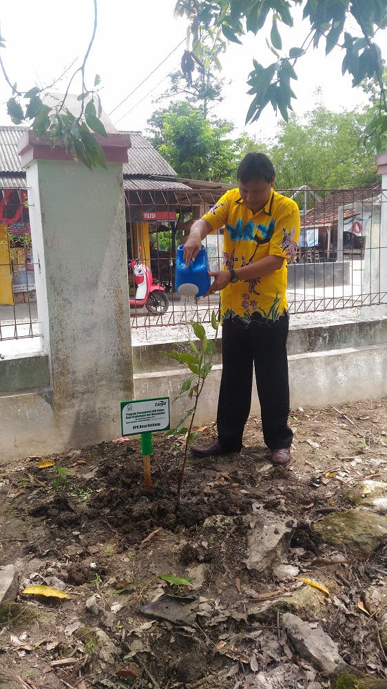 Trees Planting of 500 Jambu Deli Madu