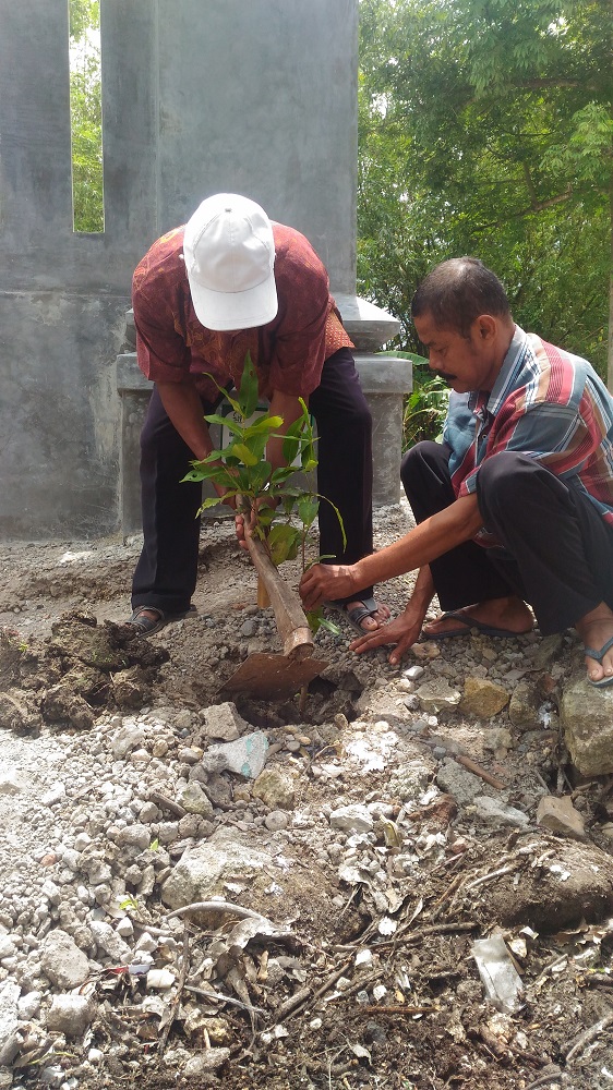 Trees Planting of 500 Jambu Deli Madu