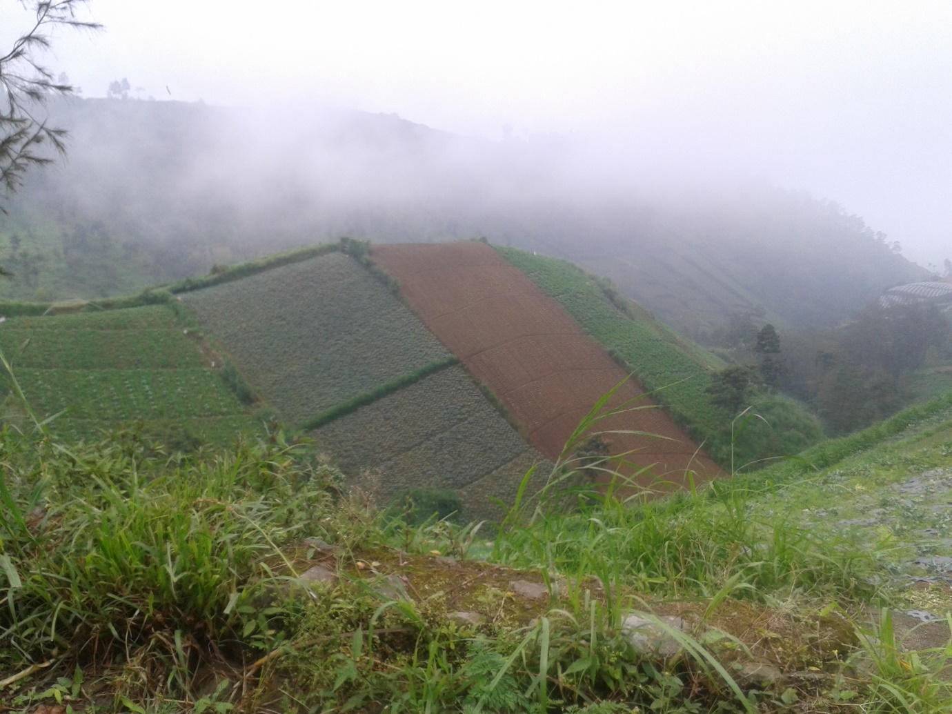 Slopes of Merbabu