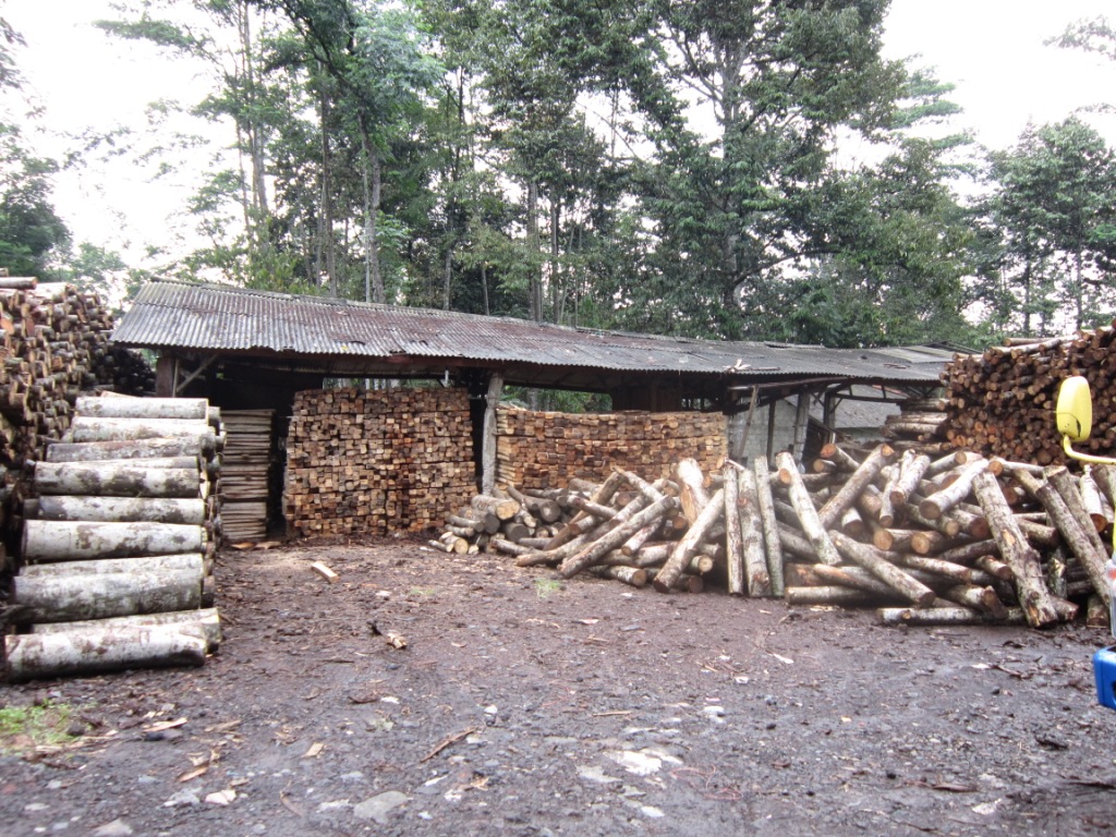 Another side of sawmill in Wonosobo where sample of the research gathered