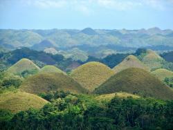 Chocolate Hills, Phillipines Chocolate Hills, Phillipines
