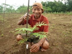 Happy farmer and his tree donated by sponshors Happy farmer and his tree