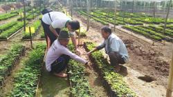 T4T Forestry Team Taking Care The Seedlings T4T Forestry Team Taking Care The Seedlings