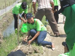 Trees Planting: 1000 Mahogany