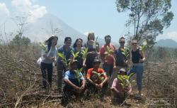 Tree Limited, The Farmers and Merapi Mountain Tree Limited, The Farmers and Merapi Mountain