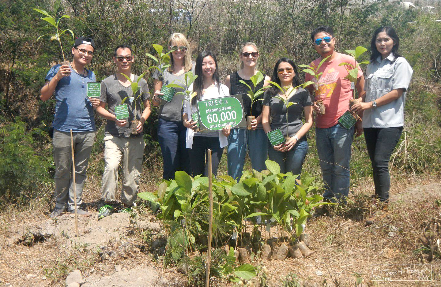 60.000 Trees And Counting To Bring A New Future - Trees4Trees - Tree ...