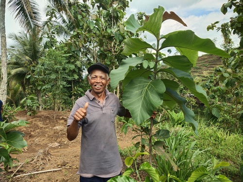 Community Forestry Projects