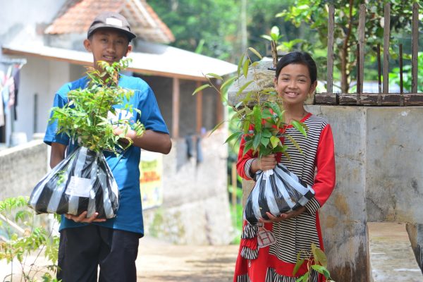 You Need to Know About Community Forestry