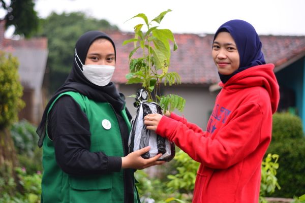 Top Charities to Donate Trees