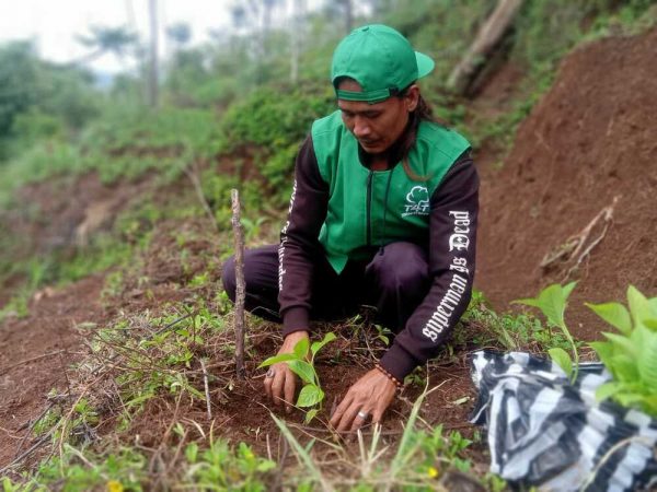 Reforestation Charity Program