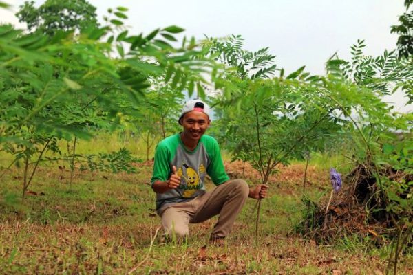 Young people from Kebumen decided to farming 2