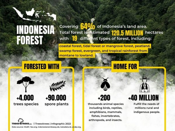 Indonesia forest infographic