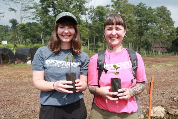 One Tree Planted Visit to Bandung Trees4Trees