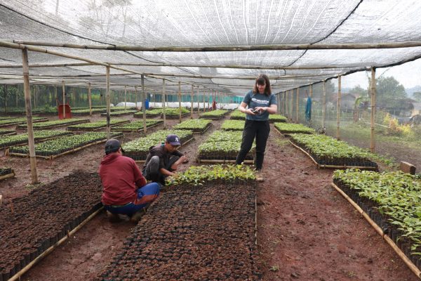 One Tree Planted Visit to Bandung Trees4Trees