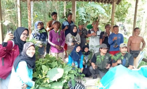 Planting one hundred trees in kalibeji village kebumen
