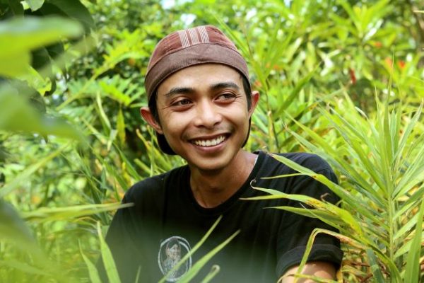 young people from kebumen decided to farming