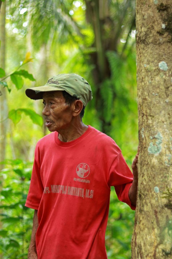 Sumeri, a farmer from kalirejo village kebumen