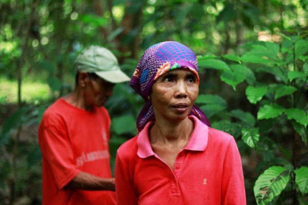 Sumeri, a farmer from kalirejo village, kebumen