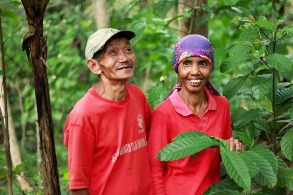 Sumeri, Farmer in Kalirejo Village, Kebumen