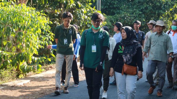 fairventures worldwide visited trees4trees for reforestation comparative study in pati central java