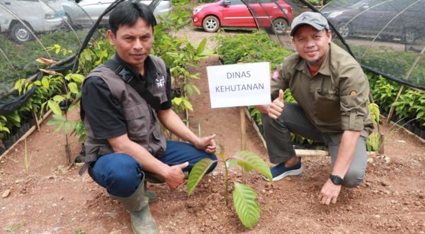 Muhammad Rizki Fauzan from AstraZeneca inspects the latest crop of seedlings at our Ciminyak nursery
