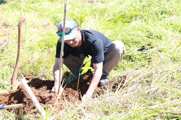 CSR program with the help of Trees4Trees
