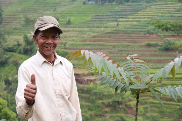 Farmer story: Iju, one of Trees4Trees best farmers from Neglasari village