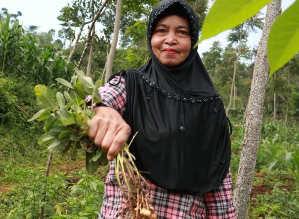 Euis Maryati: Widowed and Planting Trees to Support Her Family