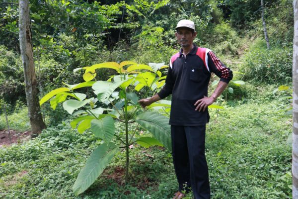 why Planting Trees is a Better Legacy 