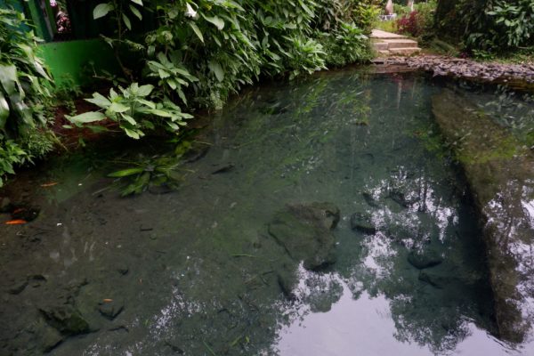 Travels in Java: Situ Cisanti and the Source of the Citarum River
