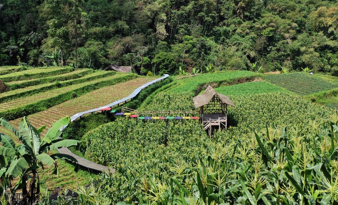 Travels in Java: Legok Dayeuh, Where Nature and Culture Converge