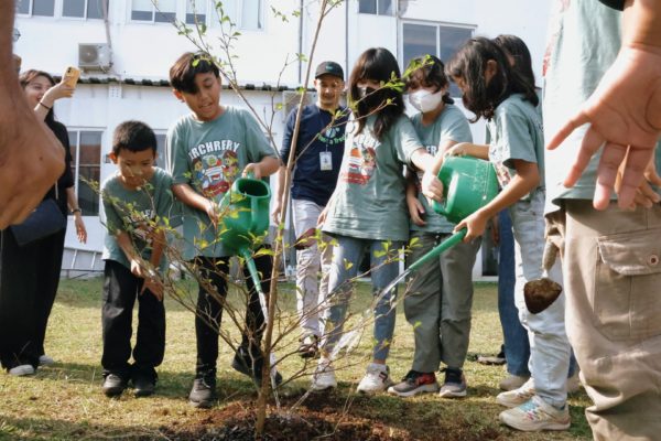 Nurturing the Next Generation: Trees4Trees School Visits