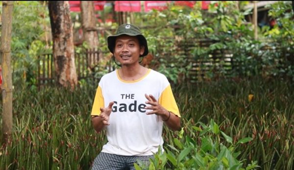 “Trendy and Engaging”: Yutaka Farm Makes Mangroves Fun