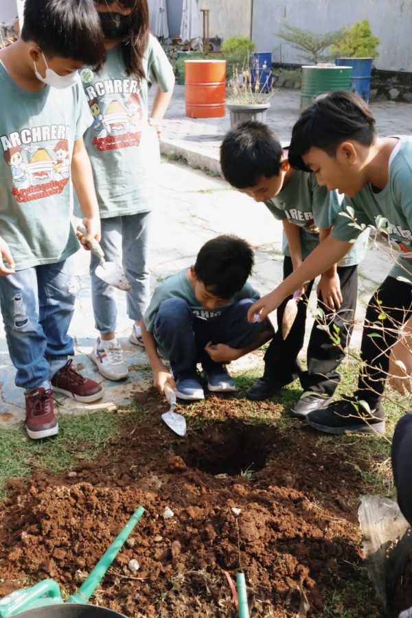 Nurturing the Next Generation: Trees4Trees School Visits