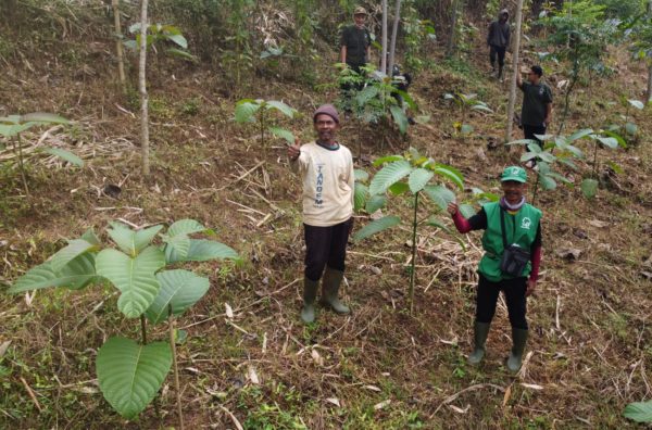 Preserving Land and Planting Trees around Citarum Watershed for Greater Benefits 