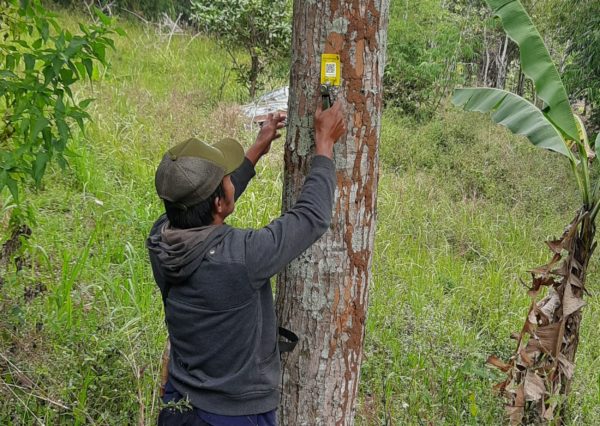 Scanning planting location barcode through GEKO App_Trees4Trees