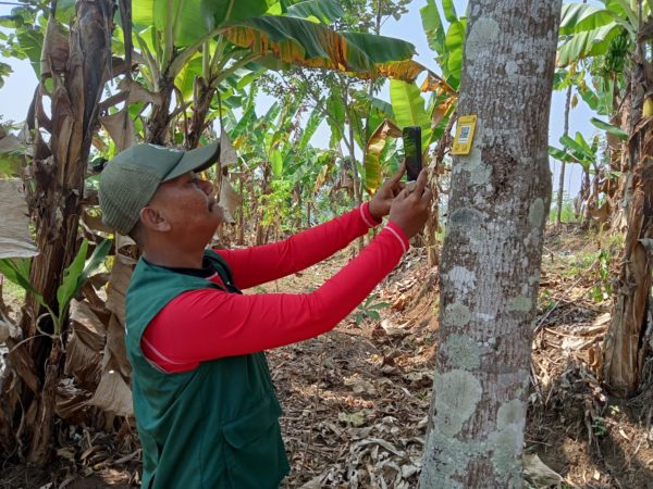  team members at the Ciminyak 2 site is currently scanning the barcode in Mekarsari village, West Bandung_Trees4Trees