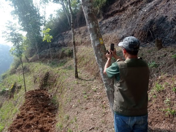 Trees4Trees team at the Ciminyak 3 site is capturing a barcode that has been affixed to one of the planting locations_trees4trees