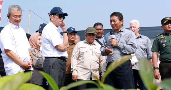 Minister Luhut visited Trees4trees in Ciminyak Nursery