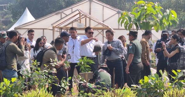Minister Luhut visited Trees4trees in Ciminyak Nursery