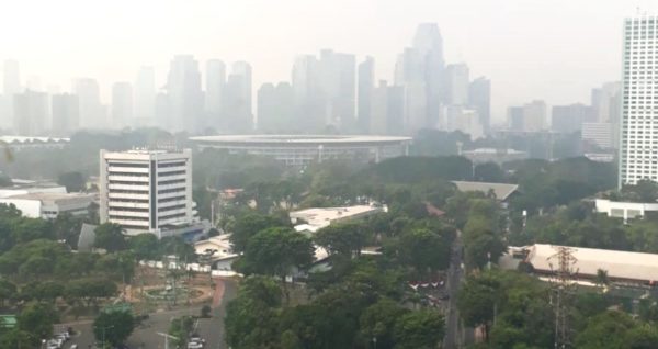 Planting Trees to Combat Jakarta Pollution