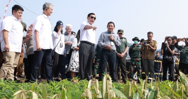 Minister Luhut visited Trees4Trees in Ciminyak Nursery