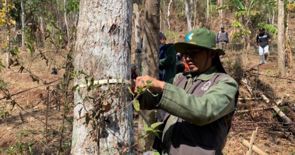 Commitment in Combating Climate Change Through Carbon Value Training 