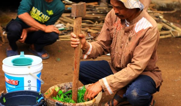 how to make organic liquid fertilizers