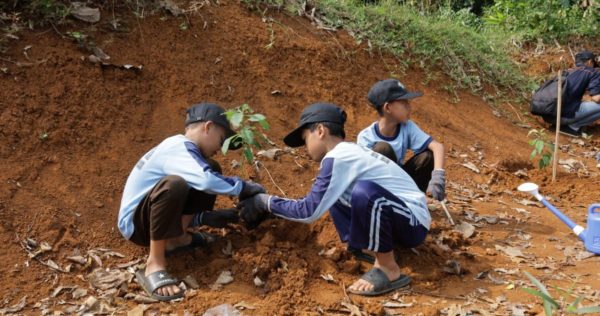 Tree planting