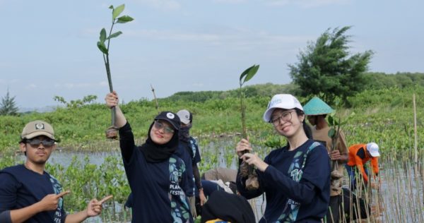 Trees4Trees Planting Festival